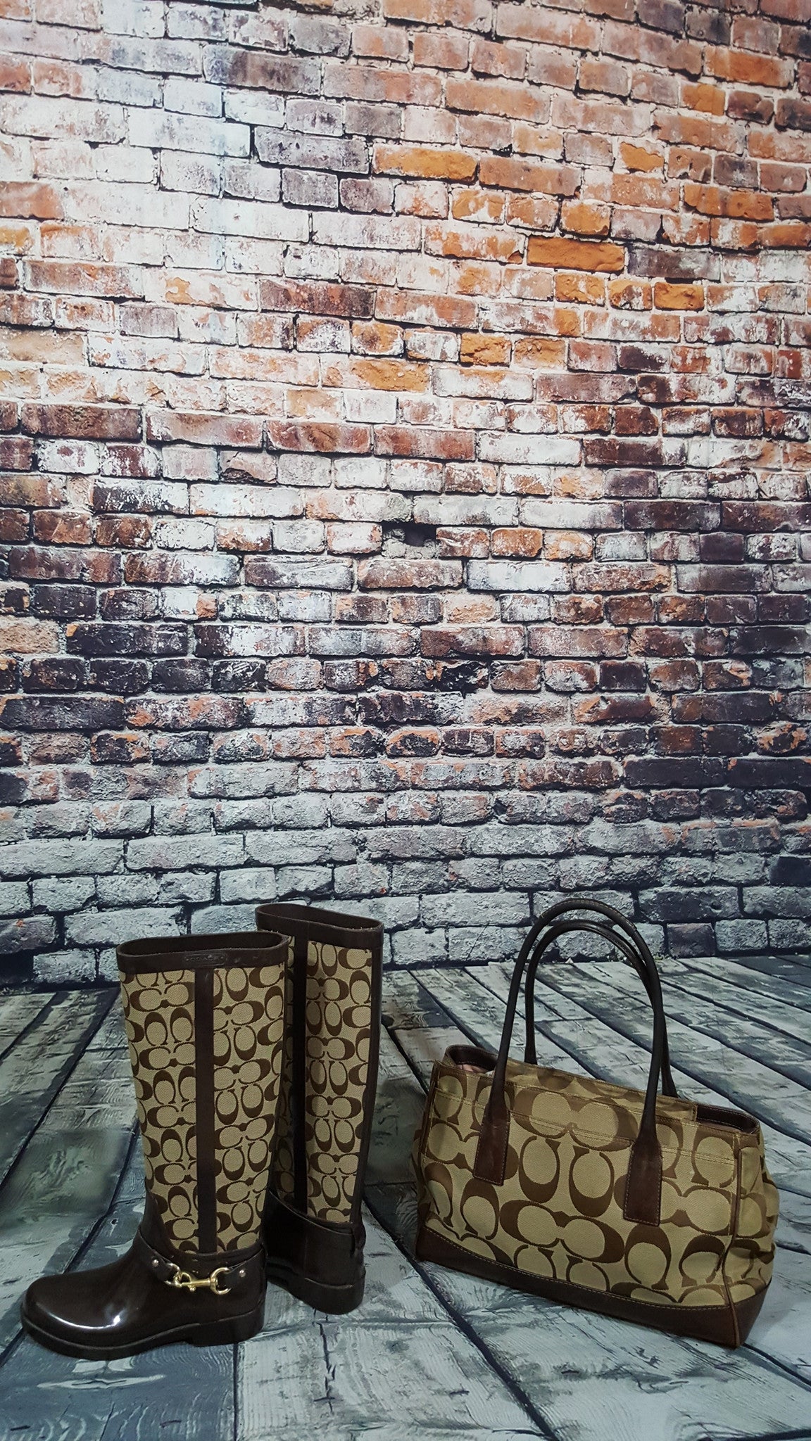 Coach Handbag