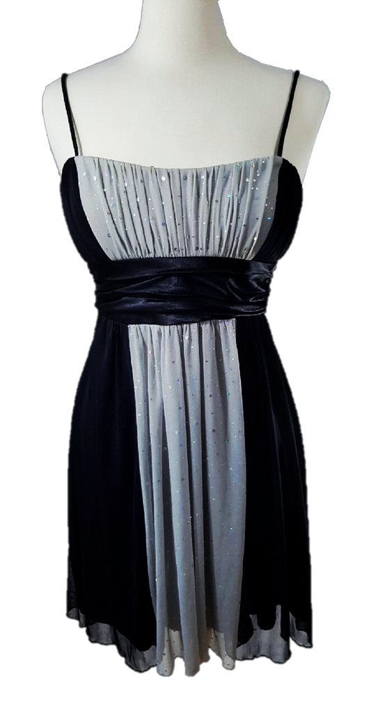 Glimmering Evening Dress