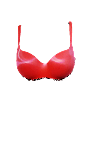 Shaped/Push Up Bra